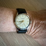 IMG_2329.jpeg