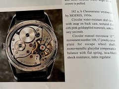 IMG_2330.jpeg