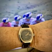 IMG_2335.jpeg