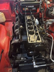IMG_2319.jpeg