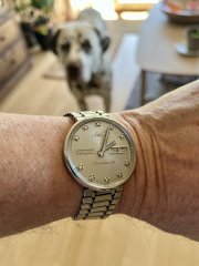 IMG_2343.jpeg