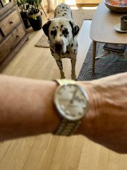IMG_2347.jpeg