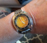 IMG_20250516_172654.jpg