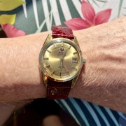 IMG_2352.jpeg