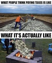 IMG_2717.jpeg