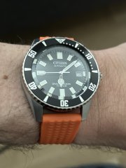 IMG_2173.jpeg