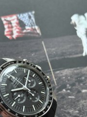 IMG_0168.jpeg IMG_0168.jpeg