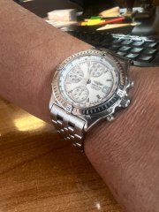 IMG_9869.jpeg