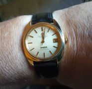 IMG_20250630_120239.jpg