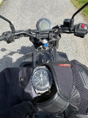 IMG_2190.jpeg