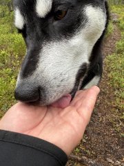 IMG_2244.jpeg