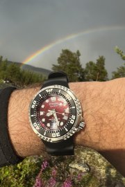 IMG_2265.jpeg
