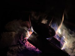 IMG_2271.jpeg