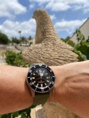 IMG_3124.jpeg