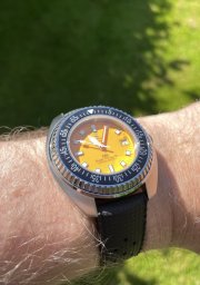 IMG_3072.jpeg