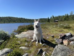 IMG_1749.jpeg