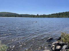 IMG_1756.jpeg