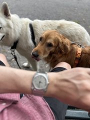 IMG_3055.jpeg
