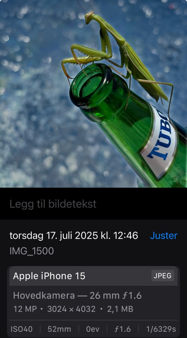 IMG_1576.jpeg