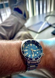 IMG_5351.jpeg