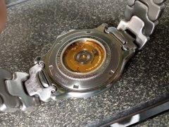 IMG_20250713_110451.jpg