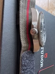 IMG_2597.jpeg