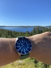 IMG_3419.jpeg