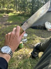 IMG_1224.jpeg