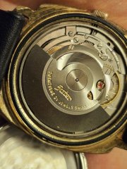 20241110_193133.jpg