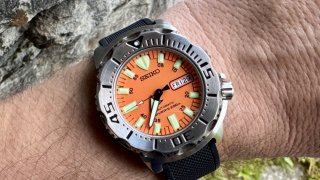IMG_6939.jpeg