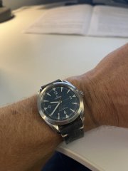 IMG_7033.jpeg