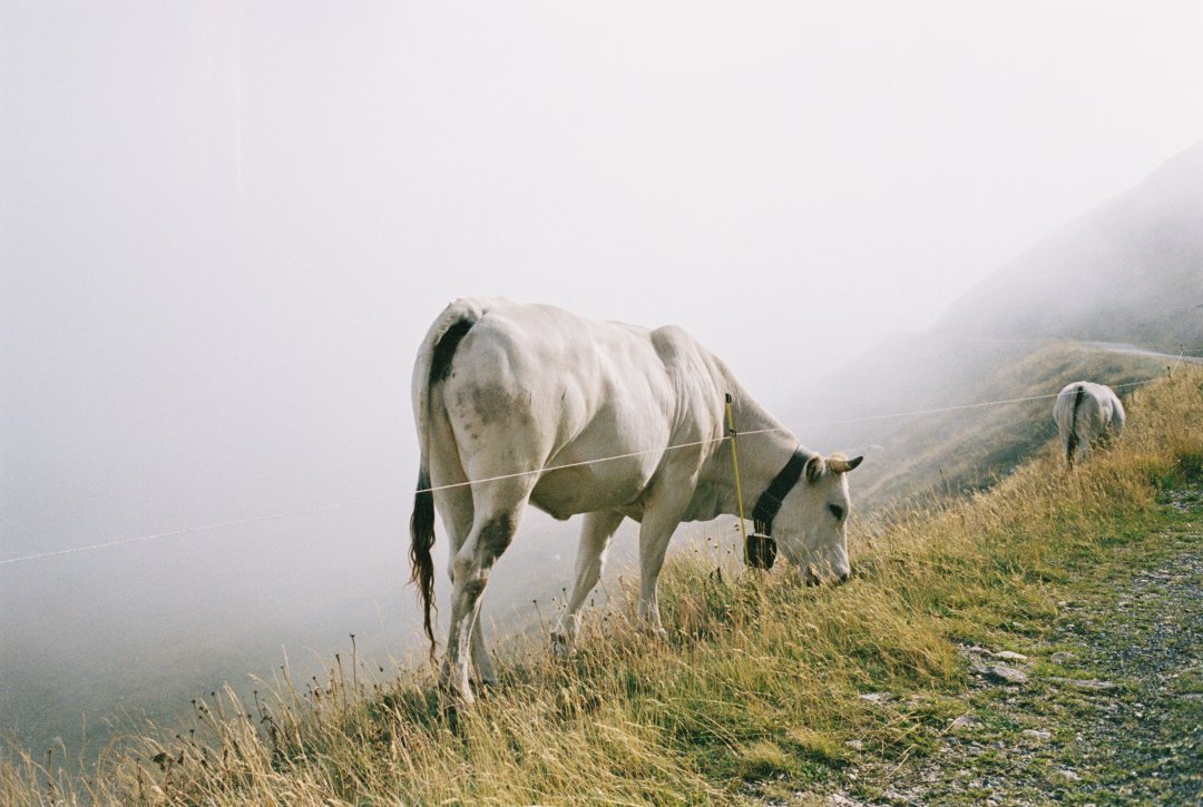 R1-04180-0026.jpeg R1-04180-0026.jpeg