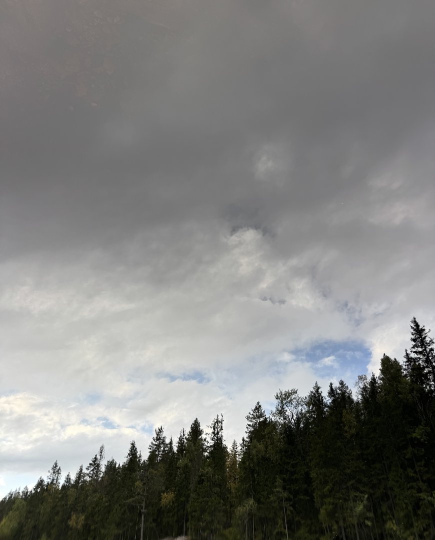 IMG_3023.jpeg