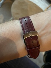 IMG_2504.jpeg