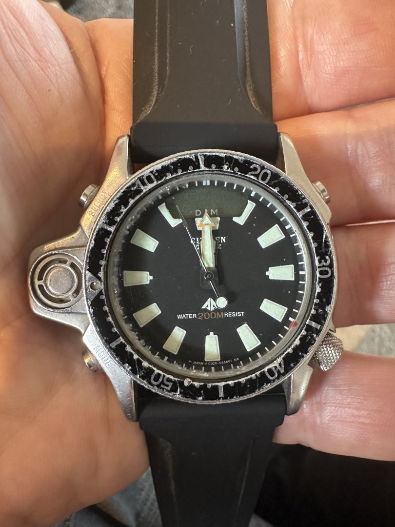 IMG_4997.jpeg IMG_4997.jpeg