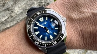 IMG_6958.jpeg
