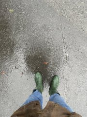 IMG_1512.jpeg