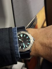IMG_7107.jpeg