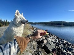 IMG_2869.jpeg