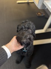 IMG_3649.jpeg
