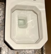 IMG_3946.jpeg