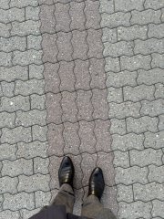 IMG_2093.jpeg