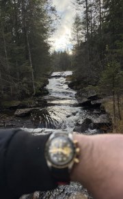IMG_3374.jpeg