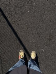 IMG_2117.jpeg