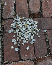 Screenshot 2025-10-20 125246.png