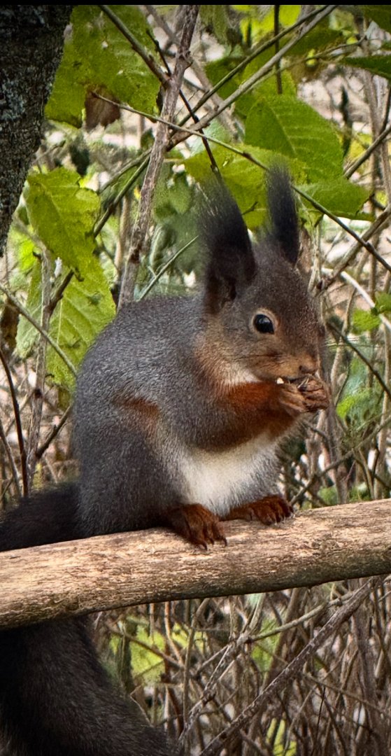 IMG_2716.jpeg IMG_2716.jpeg