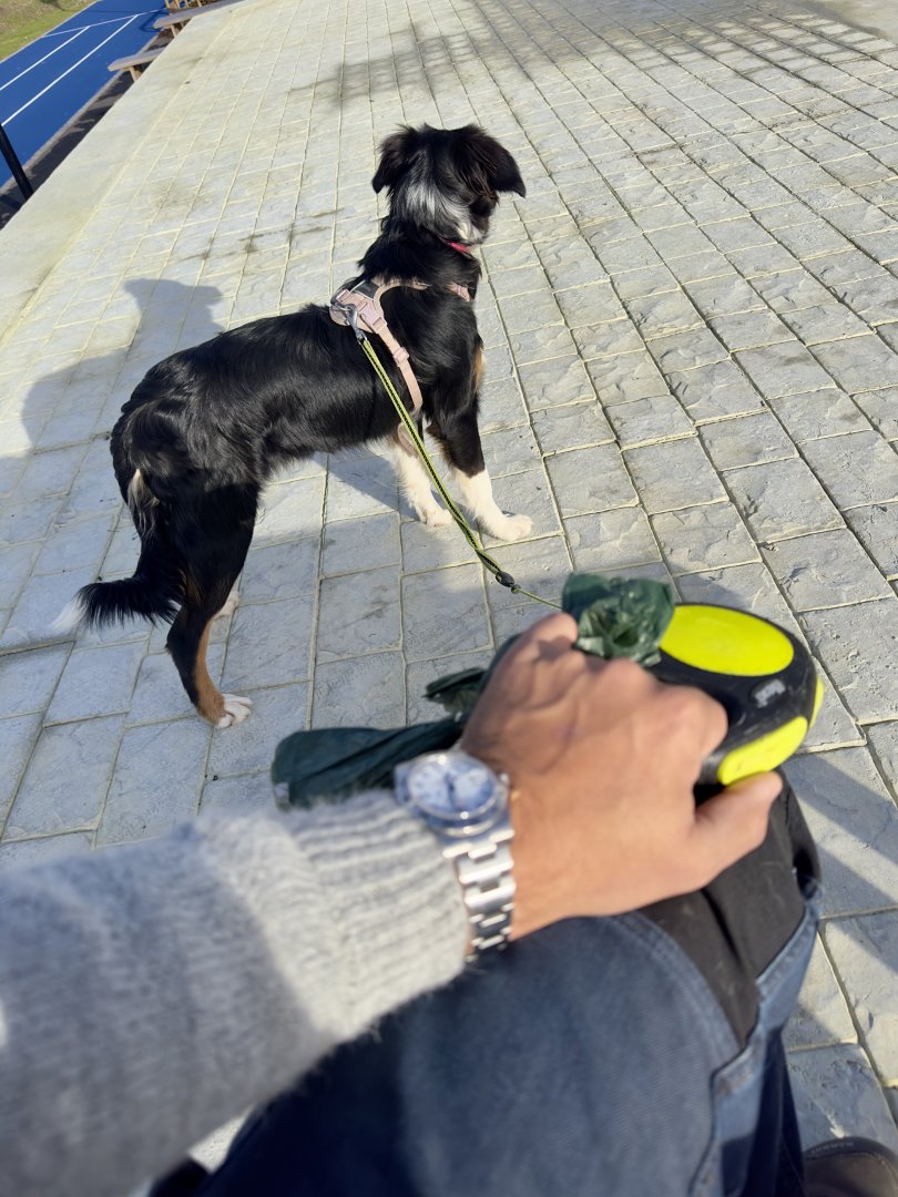 IMG_2240.jpeg