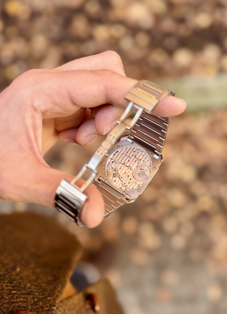 IMG_3795.jpeg IMG_3795.jpeg