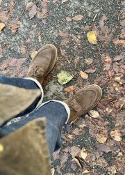 IMG_3796.jpeg