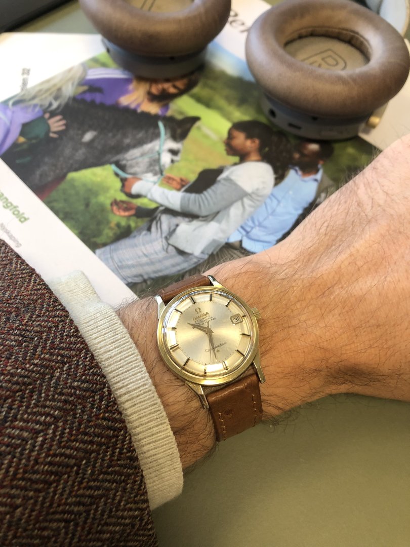 IMG_2307.jpeg IMG_2307.jpeg